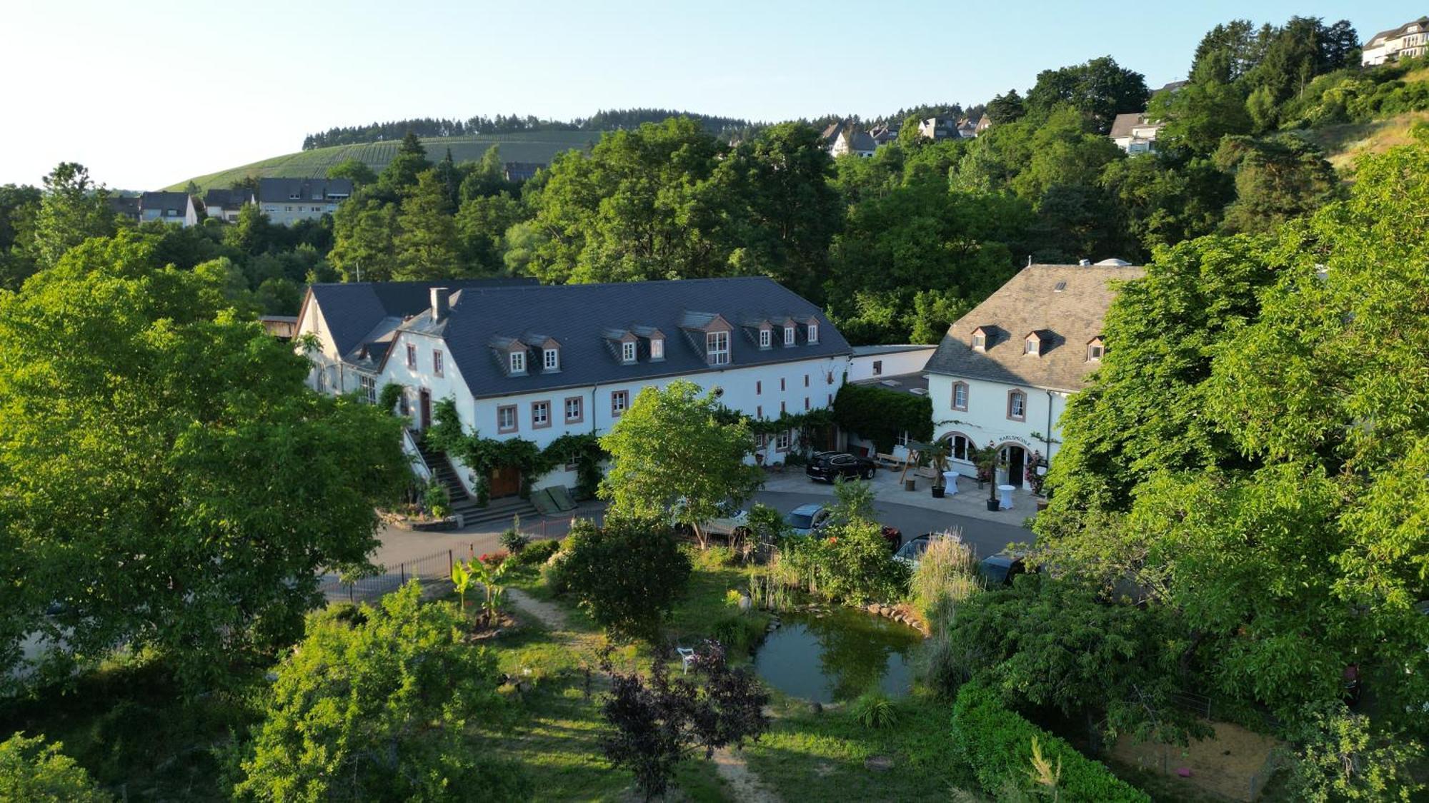 Hotel Und Weingut Karlsmuehle Mertesdorf Экстерьер фото